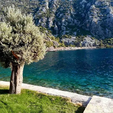 Apartman Marmaris Homes *